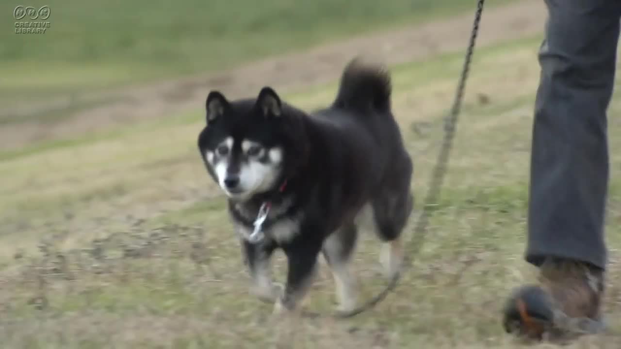削除確認用動画