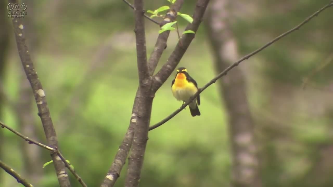 管理者公開動画